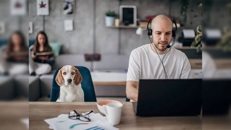 Work From Home: A Complete Guide to Earning Money Remotely